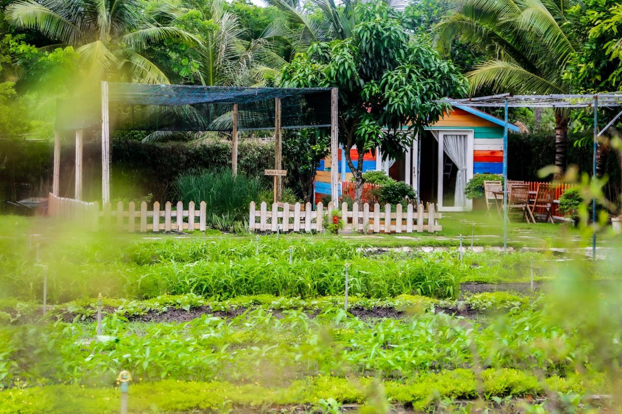 Melia Ho Tram Beach Resort מראה חיצוני תמונה A farm in the Philippines